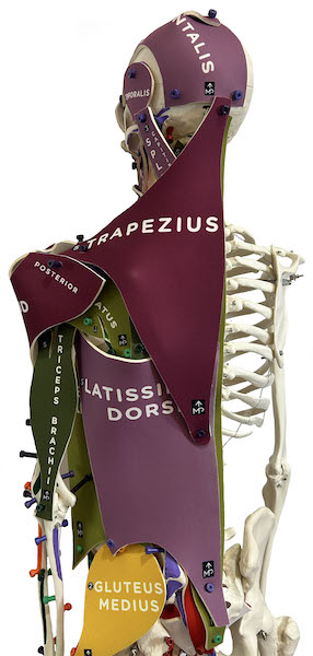 WBS_POST SHOULDER